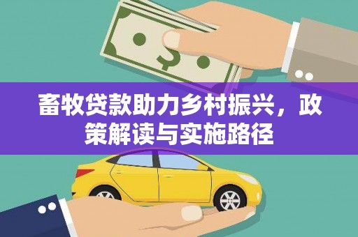 石龙畜牧贷款助力乡村振兴，政策解读与实施路径