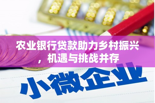 新野农业银行贷款助力乡村振兴，机遇与挑战并存
