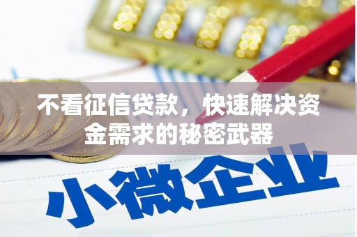 元朗不看征信贷款，快速解决资金需求的秘密武器