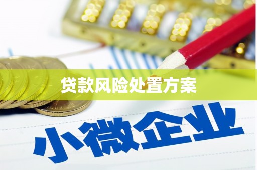 贞丰贷款风险处置方案
