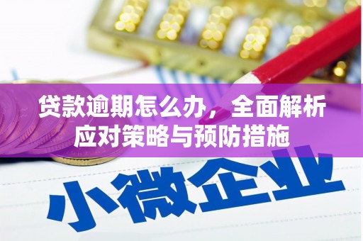 洛宁贷款逾期怎么办，全面解析应对策略与预防措施