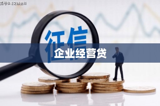 剑阁企业经营贷