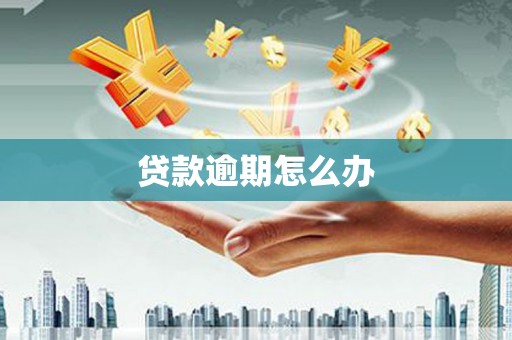 渭源贷款逾期怎么办