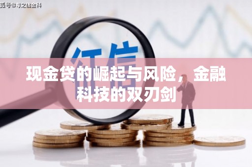 新民现金贷的崛起与风险，金融科技的双刃剑