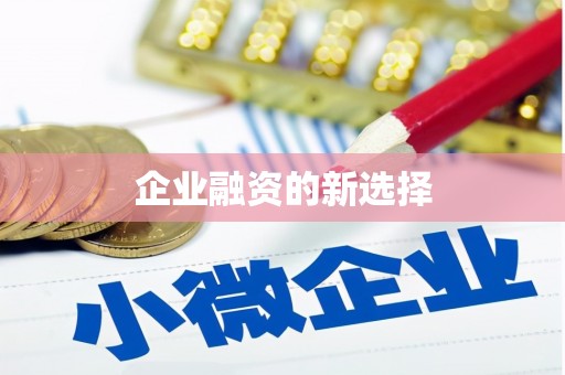 中正企业融资的新选择