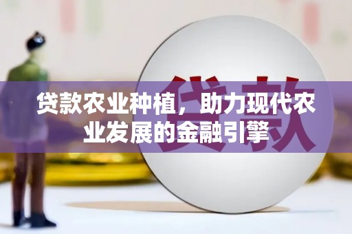 柳河贷款农业种植，助力现代农业发展的金融引擎