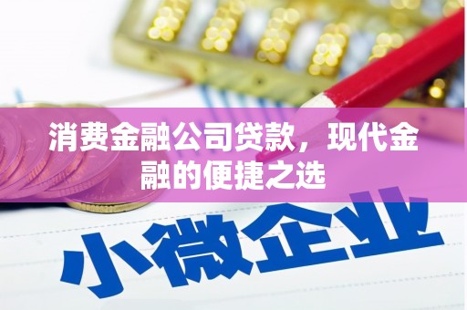 风顺堂区消费金融公司贷款，现代金融的便捷之选