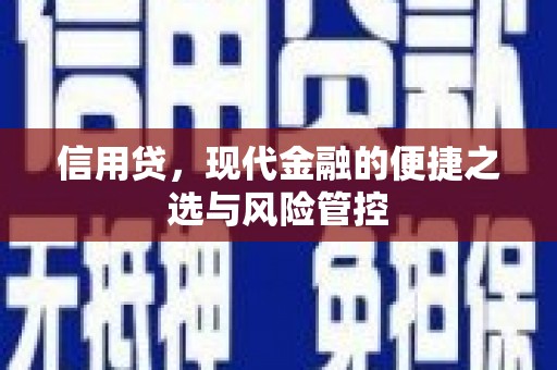 渝北信用贷，现代金融的便捷之选与风险管控