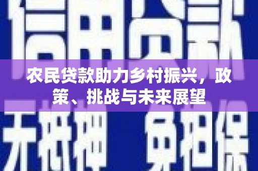 龙安农民贷款助力乡村振兴，政策、挑战与未来展望