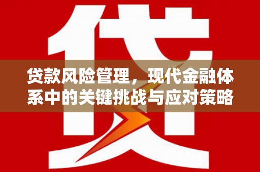水上贷款风险管理，现代金融体系中的关键挑战与应对策略