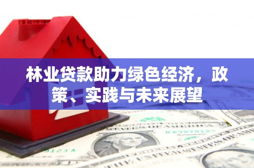 南港林业贷款助力绿色经济，政策、实践与未来展望