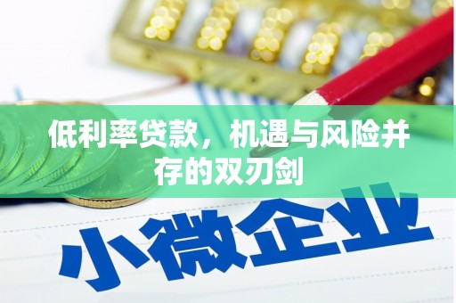 武冈低利率贷款，机遇与风险并存的双刃剑