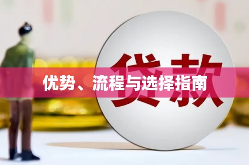 东丽优势、流程与选择指南