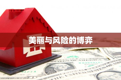 吴忠美丽与风险的博弈
