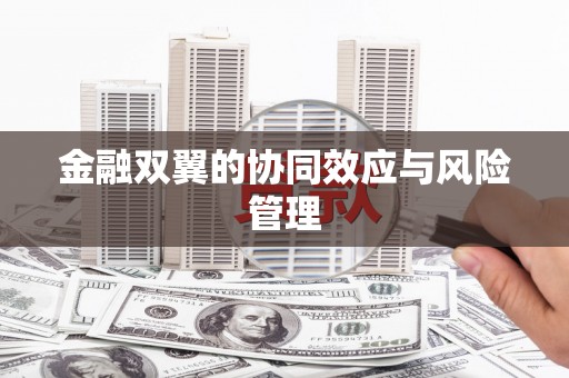 塘厦金融双翼的协同效应与风险管理