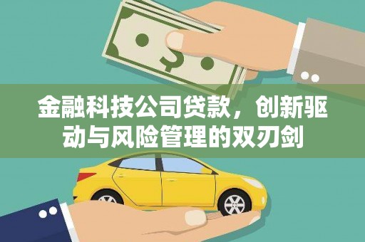 水富金融科技公司贷款，创新驱动与风险管理的双刃剑